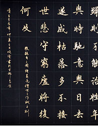 ��������Ʒ